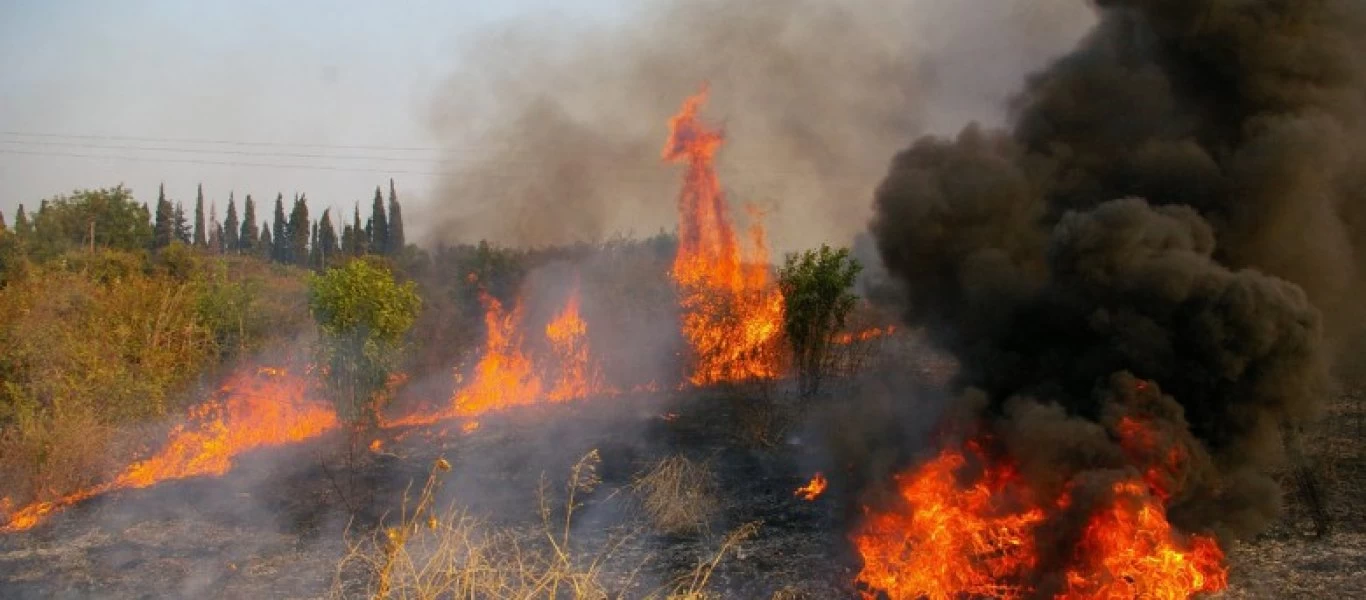 Φωτιά και στις Κεχριές Κορινθίας